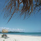 Blog Vou Contigo Guias de Viagem